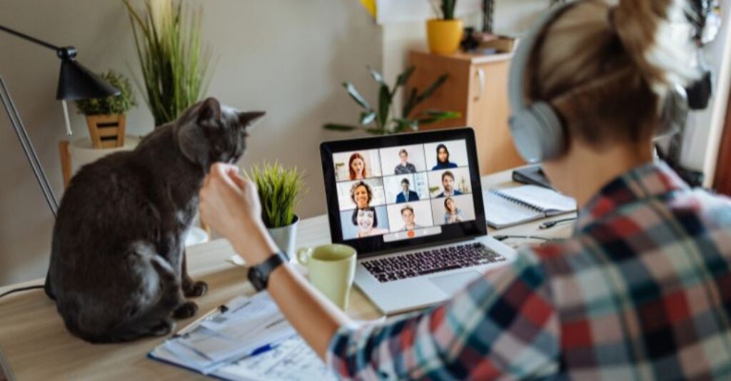 GLN Website Images (6)