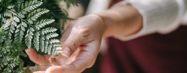 pexels-sasha-kim-9412337